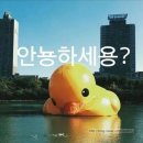 네일러버,뷰티