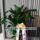 그랑프리당구장 이미지