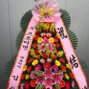 (주)프로디젠 이미지