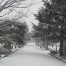 천안고등학교 이미지