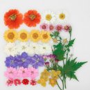 압화만들기 이미지