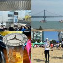 APEC로 17 | 2026년 부산마라톤 광안리 기브앤레이스 참가후기(코스 및 기념품 후기)