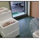 오산흑염소농장 이미지