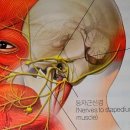 김재훈한의원 이미지