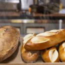 베이커리옥토버 이미지