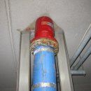 구로-구로-구로-1611 이미지