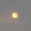 시흥초등학교 이미지