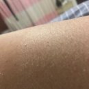 아이템 365 네이버블로그