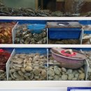 다포회타운 이미지