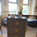 벨라코리아 이미지