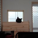 프린스실용음악학원 이미지