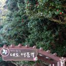 부산동백관광 이미지