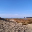 태안바다 이미지