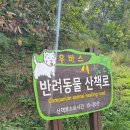꽃길장례 이미지