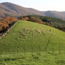 인제목장 이미지