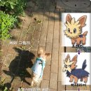 써리 독 이미지