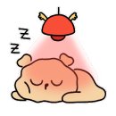 서정호한의원 이미지