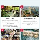 명품간식 이미지