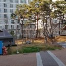 제일5차아파트 앞 이미지