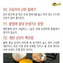 차안냄새제거하기 - 신김치신맛없애기 이미지