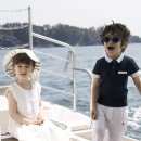 레몬트리 이미지