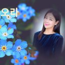 그대 돌아오라 이미지