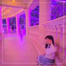 요가 야간D반 | 수원 일월수목원 야간개장 아이와 가볼만한곳 후기 &amp; 밤빛정원 예약TIP