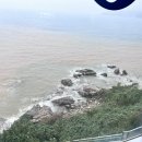 내나목장 네이버블로그