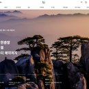 the 베스트 여행사