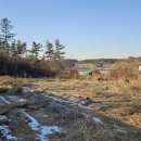 여주-1066 이미지