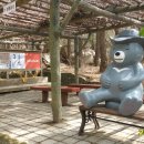 남해 금빛 이미지