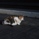 만해마을위 이미지