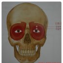 퀸스킨&바디 이미지