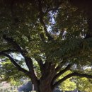 보탑사 주차장 이미지