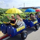 성장농원 이미지