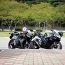 도 경계 도화동산 이미지