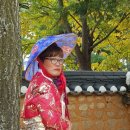 2018년 10월28일 전주한옥마을 및 진안 마이산 여행 이미지