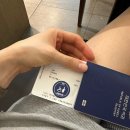 [핀란드] 핀에어 레이오버로 헬싱키 당일치기하기