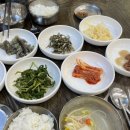 울릉회센타