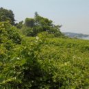 설천면010 이미지