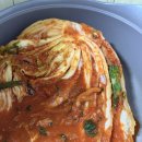 꽃순이 | 강원 고랭지 평창꽃순이 배추김치 후기 | 유기농 인증 &amp; 속이 적은 배추김치