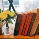 21세기미 이미지