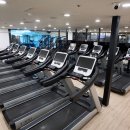 쏘마휘트니스 이미지