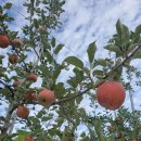 건이네 농장 이미지