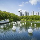 신대호수 이미지