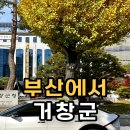 칠원전통시장 | 부산 명지에서 거창군까지 장거리 택시 예약 운행