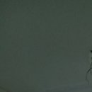 선경그린 이미지