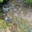 갯골자연휴양림 이미지