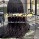 김쌀롱 | 화정동미용실 예슬쌀롱 혜림디자이너 선생님 덕분에 오랜만에 힐링 제대로 하고 온 후기!