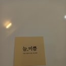 늘 에스테틱 이미지